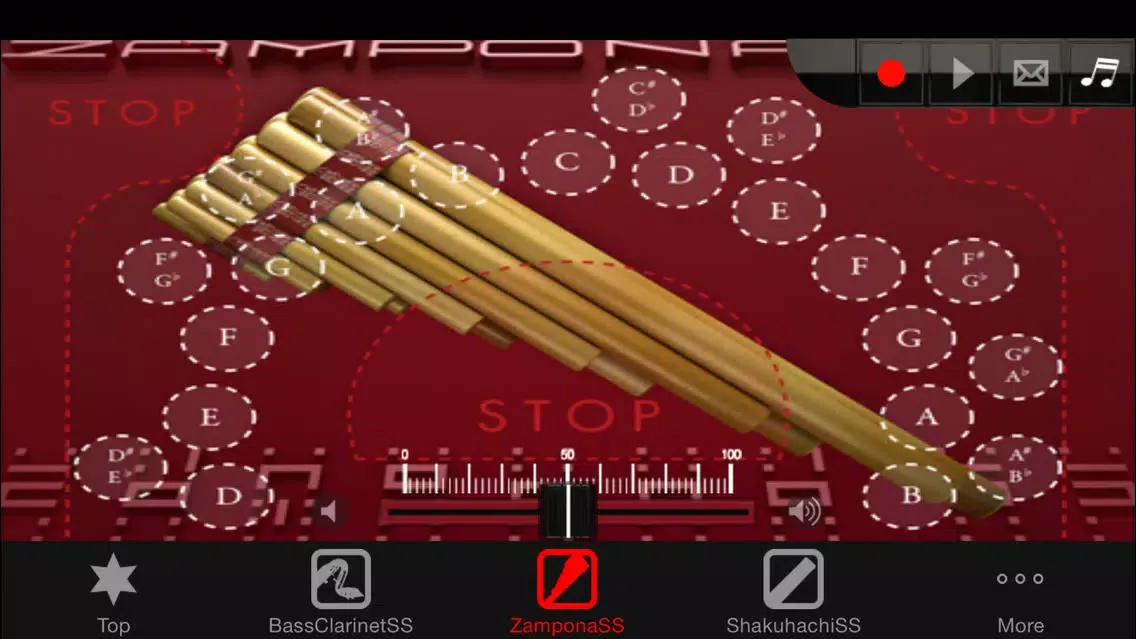 Zrzuty ekranu Woodwind instrumentSS Vol.3