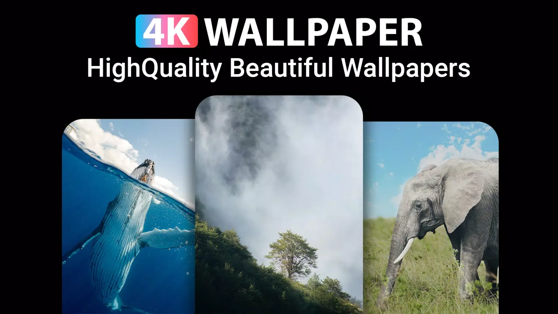 Ảnh chụp màn hình của Wallpaper 4K HD
