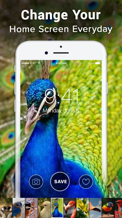 Screenshot di Live Wallpaper 4K ‼