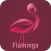 FLAMINGO LED