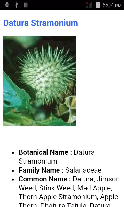 Captures d'écran de Herbs That Heal