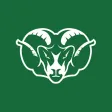 Badin Athletics