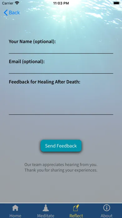 Capturas de pantalla de Healing After Death