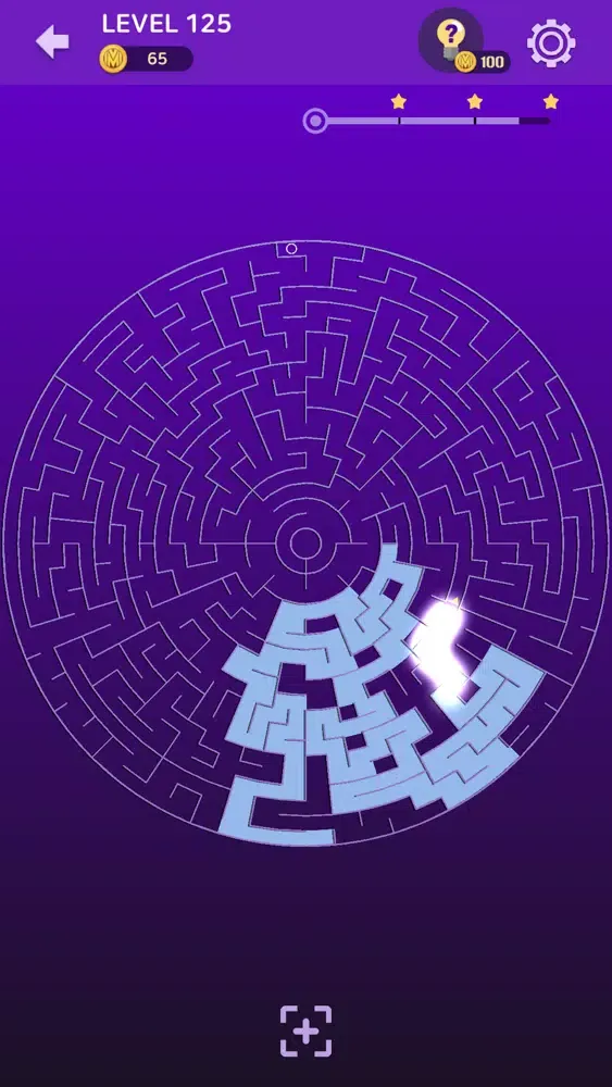 Maze Paint - Brain Maze Screenshots