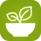 Healthy Eating Recipes