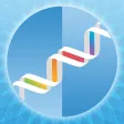 528Hz DNA Relax 528Hz DNA Relax