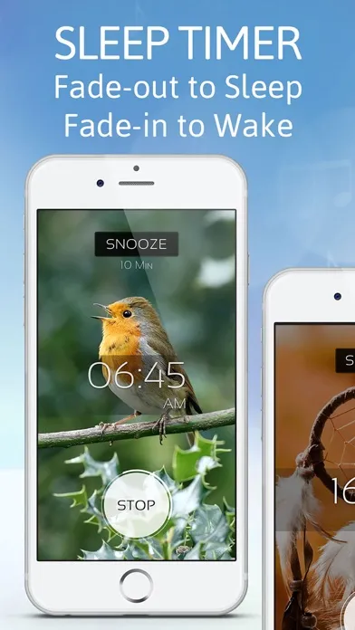 Screenshot di Sleep Sounds by Sleep Pillow