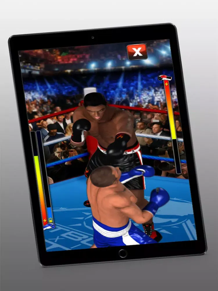 تصاویر Heavyweight KO Boxing iPad 