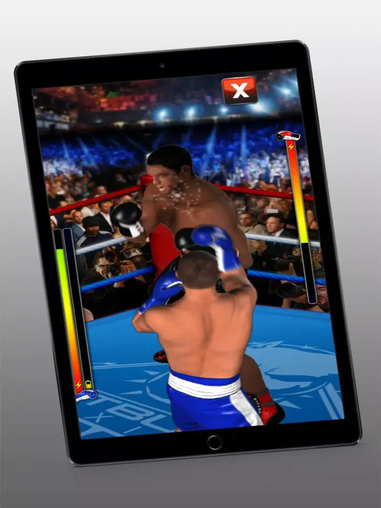 تصاویر Heavyweight KO Boxing iPad 