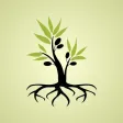 Hebraic Roots Discipleship Hebraic Roots Discipleship
