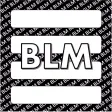 BLM Trivia
