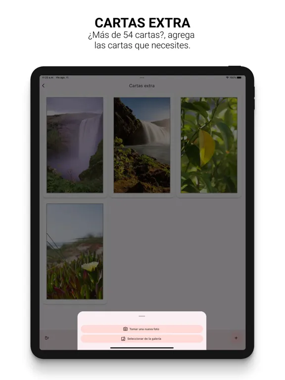 Ảnh chụp màn hình của Baraja lotería mexicana iPad 
