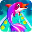 Unicorn Fish Runner Pony