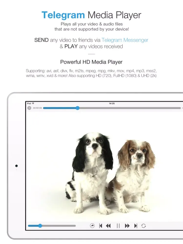 Telegram Player PRO - Media Player for Telegram Messenger iPad  স্ক্রিনশট