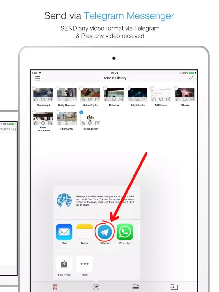 Telegram Player PRO - Media Player for Telegram Messenger iPad  স্ক্রিনশট