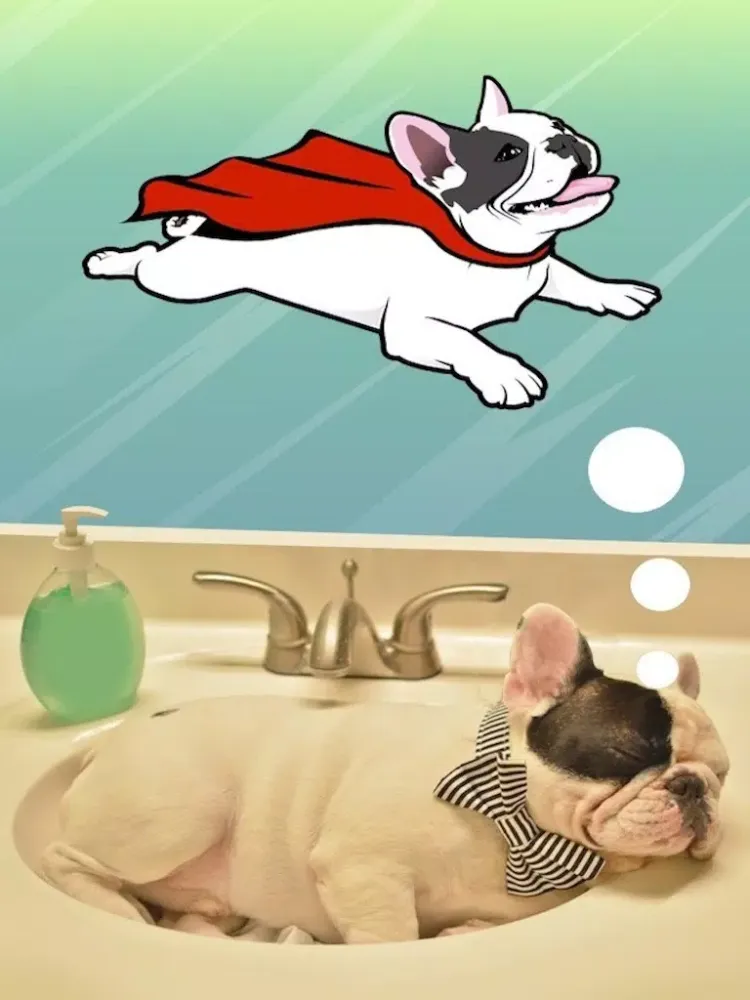 Скриншоты Manny - The Flying Frenchie iPad 