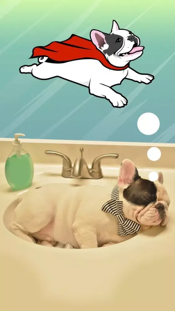 Скриншоты Manny - The Flying Frenchie