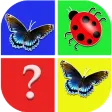 Fun Memory Game Fun Memory Game