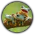 Find The Frog
