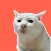Cat Meme Stickers