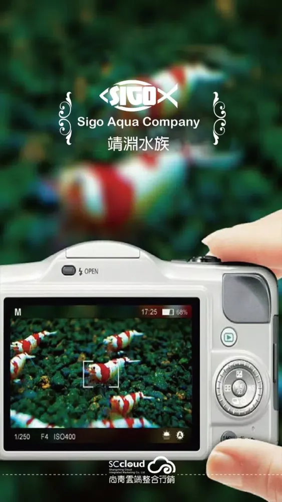 Sigo 靖淵水族 Screenshots