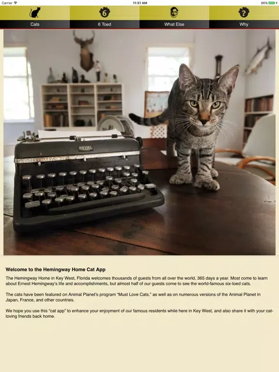 Hemingway Cats iPad 应用截图