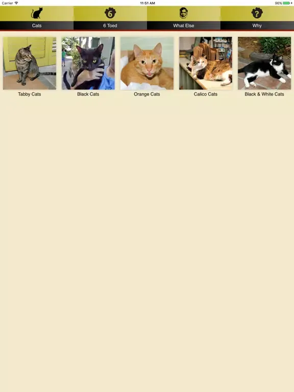Hemingway Cats iPad 应用截图