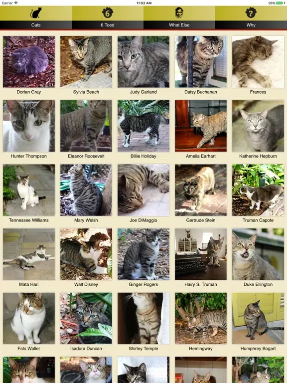 Hemingway Cats iPad 应用截图
