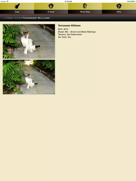 Hemingway Cats iPad 应用截图