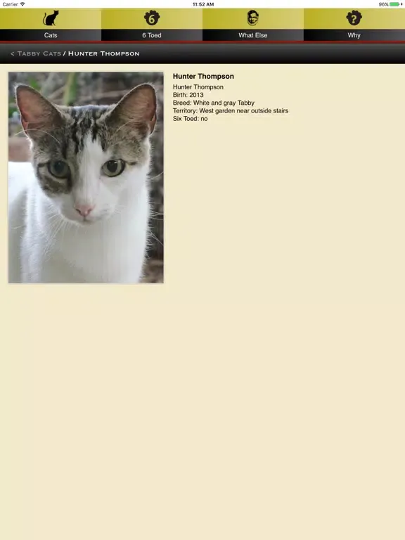 Hemingway Cats iPad 应用截图