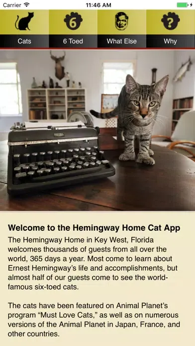 Hemingway Cats应用截图