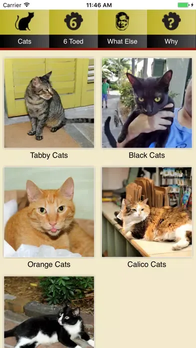 Hemingway Cats应用截图