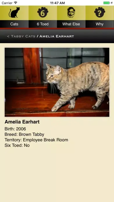 Hemingway Cats应用截图