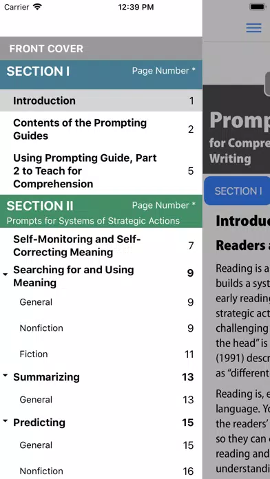 ภาพหน้าจอของ F&P Prompting Guide 2