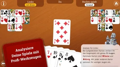 Zrzuty ekranu Skat LITE