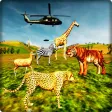 Wild Jungle Animals Hunting