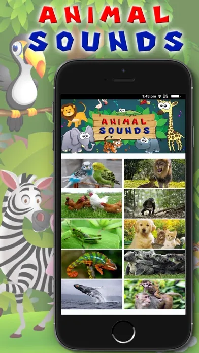 Animal Sounds - Toddler Animal Sounds and Pictures Screenshots