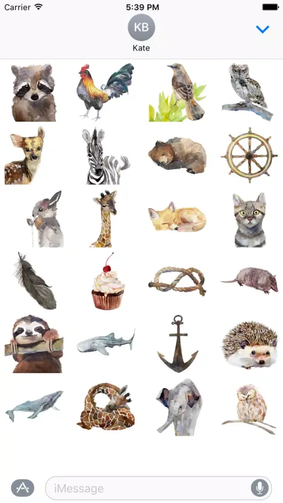 Jieun Rasband Fine Art Stickers Screenshots