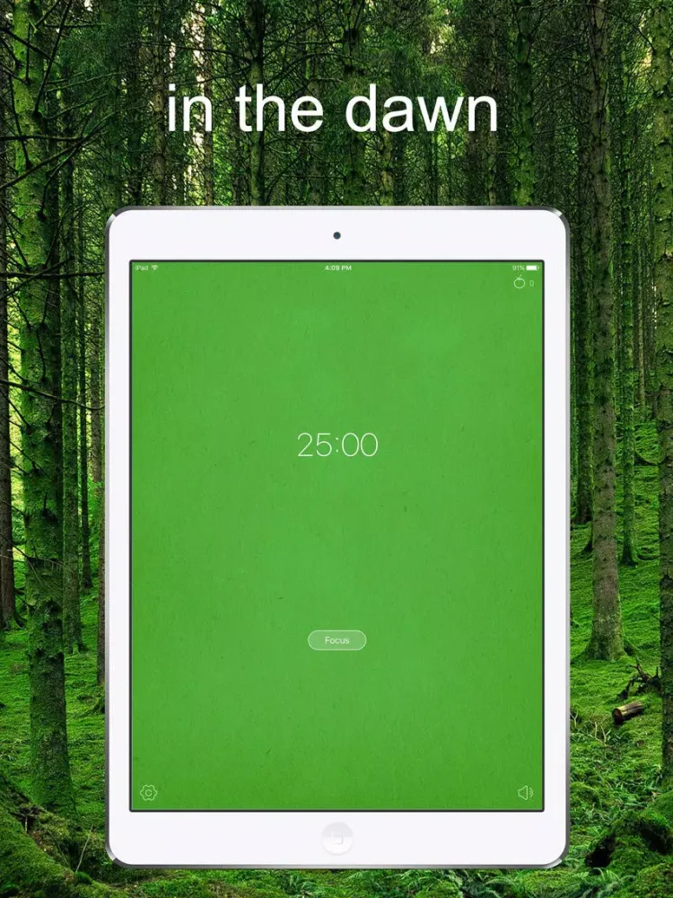 Zrzuty ekranu Focus Timer - fully engaged iPad 
