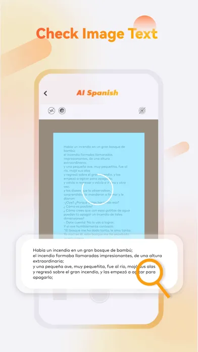 AI Spanish Grammar Checker স্ক্রিনশট