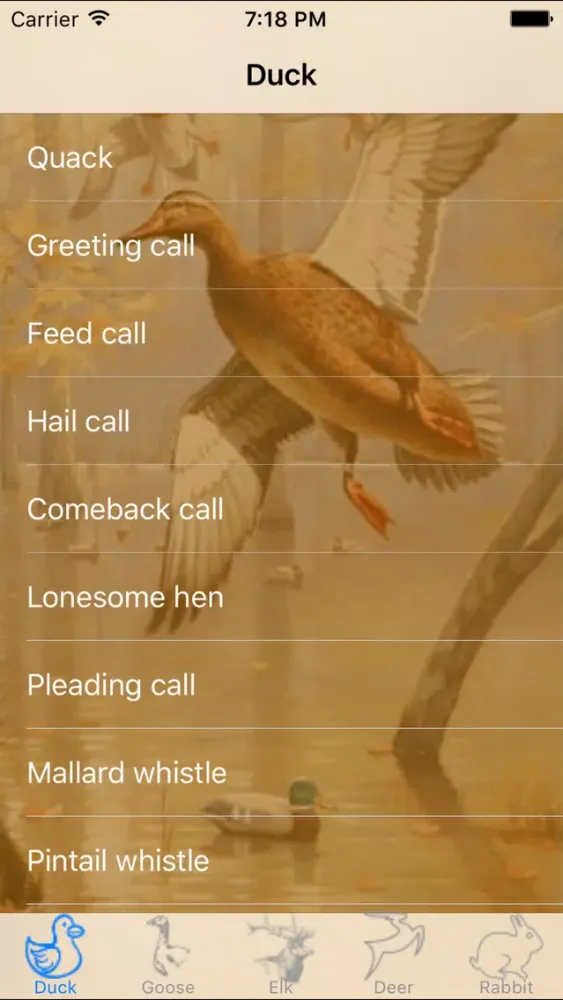 Captures d'écran de Hunting Calls Super