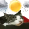 쩜돌예보