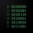 BinaryComputerStore