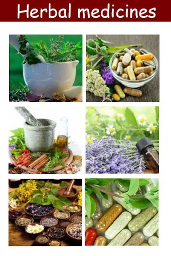 Screenshot di Herbal medicines plant