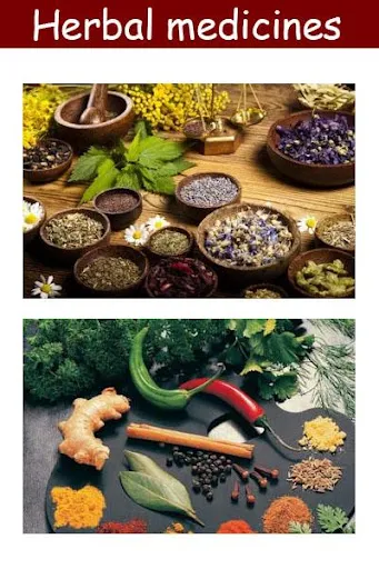 Screenshot di Herbal medicines plant