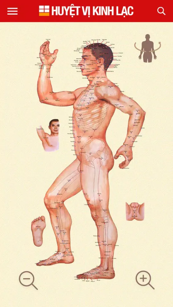 Huyệt Vị Kinh Lạc Ekran Görüntüleri