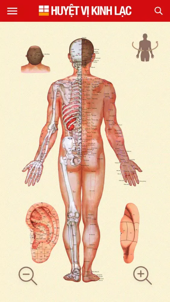 Huyệt Vị Kinh Lạc Ekran Görüntüleri