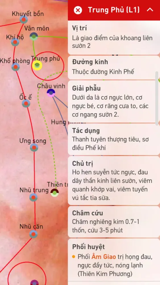 Huyệt Vị Kinh Lạc Ekran Görüntüleri