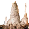 Rons Heritage Carlsbad Caverns