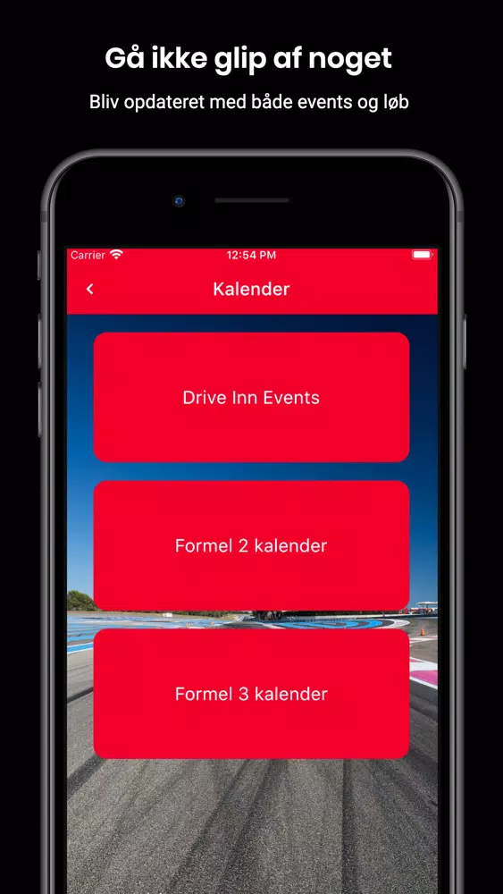 Screenshot di Racing for Denmark